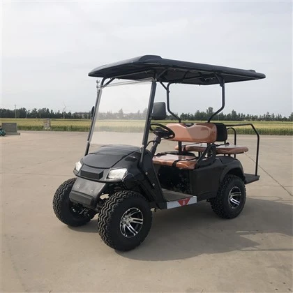 Zwarte elektrische golfkar